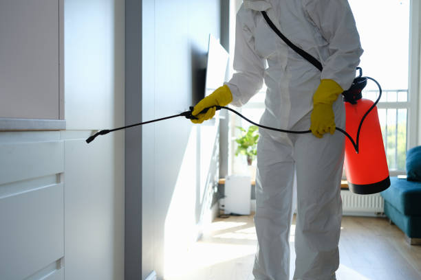 Best Emergency Mold Removal  in Davenport, FL