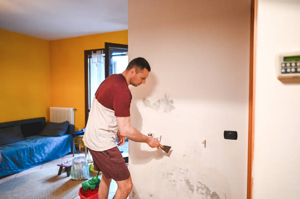 Best Mold Damage Repair  in Davenport, FL